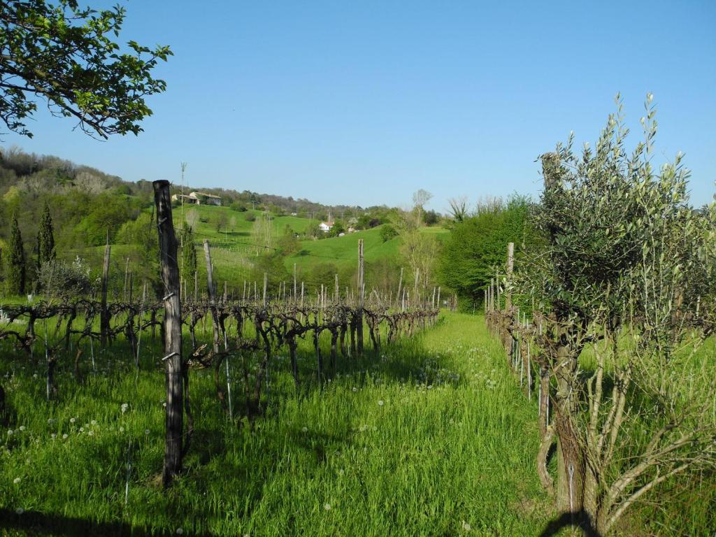 Agriturismo Cornolere Villa Castelcucco Екстериор снимка